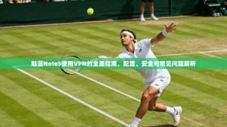 魅蓝Note5使用VPN的全面指南，配置、安全与常见问题解析