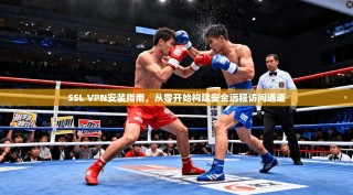 SSL VPN安装指南，从零开始构建安全远程访问通道