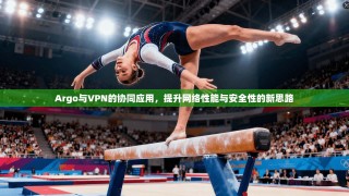 Argo与VPN的协同应用，提升网络性能与安全性的新思路