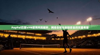 PayPal巴西VPN使用风险解析，网络合规与金融安全的双重考量