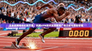 企业级网络优化新方案，利用VPN技术实现精准广告过滤与流量管理