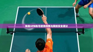 旗鱼VPN账号使用指南与网络安全建议
