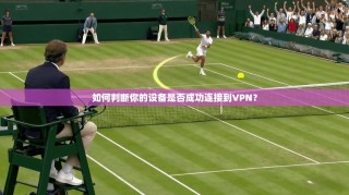 如何判断你的设备是否成功连接到VPN？