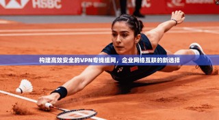 构建高效安全的VPN专线组网，企业网络互联的新选择