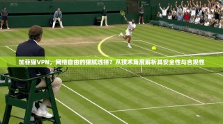加菲猫VPN，网络自由的猫腻选择？从技术角度解析其安全性与合规性