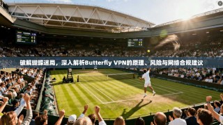 破解蝴蝶迷局，深入解析Butterfly VPN的原理、风险与网络合规建议