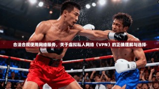 合法合规使用网络服务，关于虚拟私人网络（VPN）的正确理解与选择