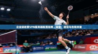 企业级收费VPN服务器配置指南，安全、稳定与合规并重