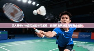 深入解析VPN指定域名访问策略，实现精准网络分流与安全控制