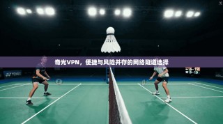 奇光VPN，便捷与风险并存的网络隧道选择