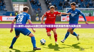 深入解析Loopback接口在VPN配置中的关键作用与实践应用
