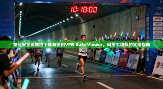如何安全高效地下载与使用VPN Gate Viewer，网络工程师的实用指南