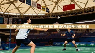 深入解析OSPF与MPLS VPN的融合机制及其在现代网络架构中的应用价值