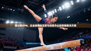 蒲公英VPN，企业级网络互联与远程办公的智能解决方案
