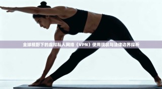 全球视野下的虚拟私人网络（VPN）使用现状与法律边界探析