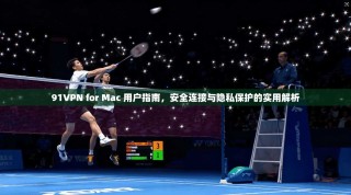 91VPN for Mac 用户指南，安全连接与隐私保护的实用解析