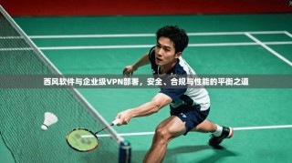 西风软件与企业级VPN部署，安全、合规与性能的平衡之道