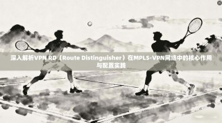 深入解析VPN RD（Route Distinguisher）在MPLS-VPN网络中的核心作用与配置实践