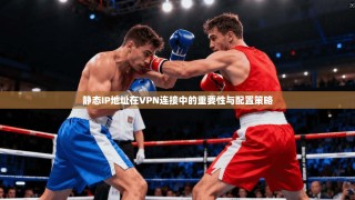 静态IP地址在VPN连接中的重要性与配置策略