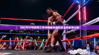DNS与VPN协同工作对网络性能和安全的影响分析