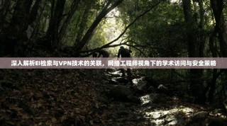 深入解析EI检索与VPN技术的关联，网络工程师视角下的学术访问与安全策略