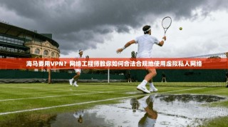 海马要用VPN？网络工程师教你如何合法合规地使用虚拟私人网络