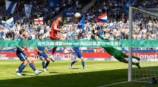 如何正确填写Internet地址以配置VPN连接？