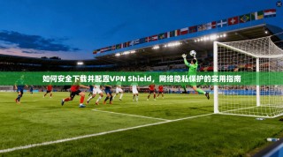 如何安全下载并配置VPN Shield，网络隐私保护的实用指南