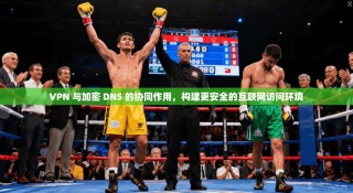 VPN 与加密 DNS 的协同作用，构建更安全的互联网访问环境