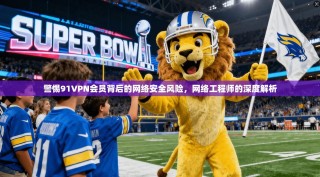警惕91VPN会员背后的网络安全风险，网络工程师的深度解析