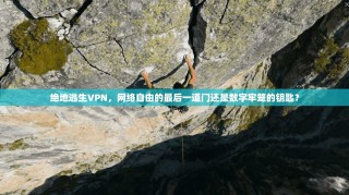 绝地逃生VPN，网络自由的最后一道门还是数字牢笼的钥匙？