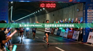 深入解析VPN3005C，企业级安全连接的高效选择