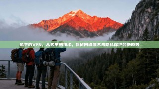 兔子的VPN，从名字到技术，揭秘网络匿名与隐私保护的新趋势