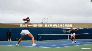 佛跳墙VPN使用指南，技术解析与合法合规提醒