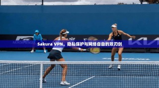 Sakura VPN，隐私保护与网络自由的双刃剑