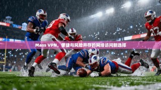 Mass VPN，便捷与风险并存的网络访问新选择