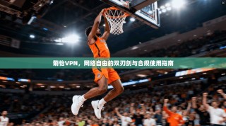 菊怡VPN，网络自由的双刃剑与合规使用指南