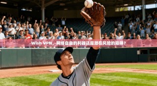 Wish VPN，网络自由的利器还是潜在风险的陷阱？