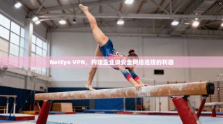 NetEye VPN，构建企业级安全网络连接的利器