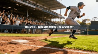 鱼跃VPN，网络自由的跳板还是安全隐患？