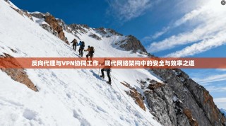 反向代理与VPN协同工作，现代网络架构中的安全与效率之道