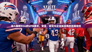 深入解析OSU的VPN技术，安全、稳定与企业级应用的完美结合