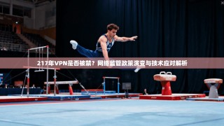 217年VPN是否被禁？网络监管政策演变与技术应对解析