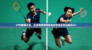 VPN被禁之后，企业网络如何安全合规地实现远程办公？