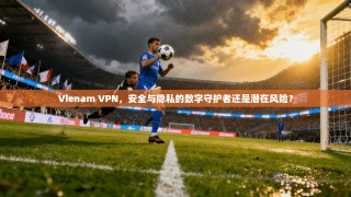 Vienam VPN，安全与隐私的数字守护者还是潜在风险？
