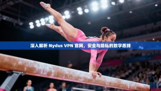 深入解析 Nydus VPN 官网，安全与隐私的数字盾牌