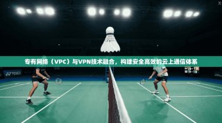 专有网络（VPC）与VPN技术融合，构建安全高效的云上通信体系