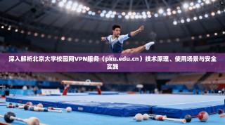 深入解析北京大学校园网VPN服务（pku.edu.cn）技术原理、使用场景与安全实践