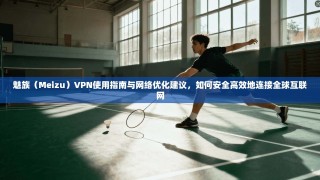 魅族（Meizu）VPN使用指南与网络优化建议，如何安全高效地连接全球互联网