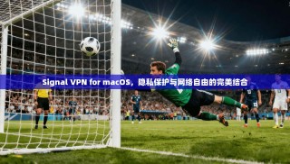 Signal VPN for macOS，隐私保护与网络自由的完美结合